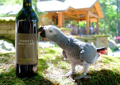 Parrett Mountain Cellars